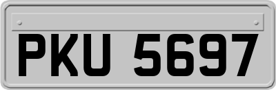 PKU5697
