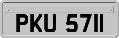 PKU5711