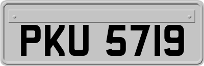 PKU5719