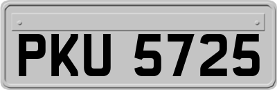 PKU5725