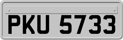 PKU5733