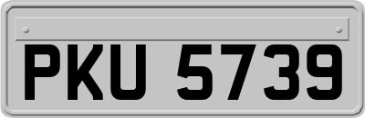 PKU5739