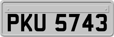 PKU5743