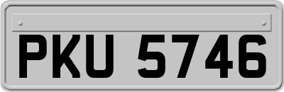 PKU5746