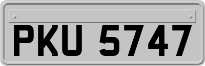 PKU5747