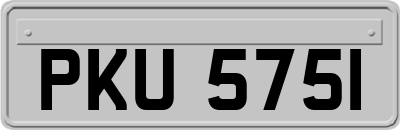 PKU5751