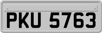 PKU5763