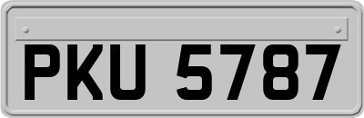 PKU5787