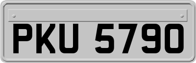 PKU5790