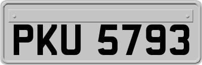 PKU5793