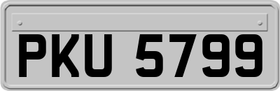 PKU5799
