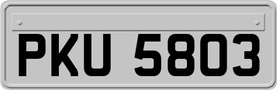 PKU5803