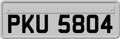 PKU5804