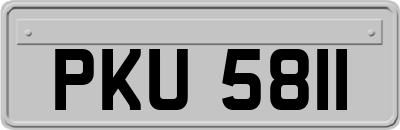 PKU5811