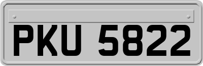 PKU5822