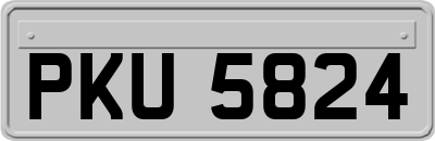 PKU5824