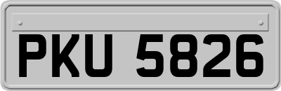PKU5826