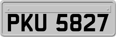 PKU5827