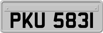 PKU5831