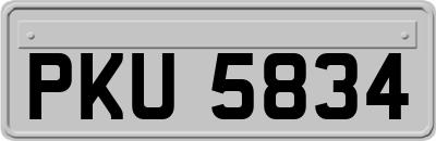 PKU5834