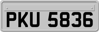 PKU5836