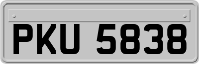 PKU5838