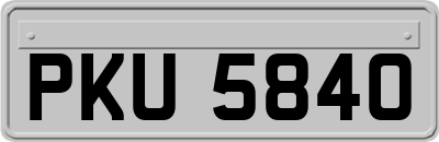 PKU5840