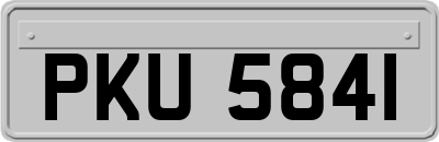 PKU5841