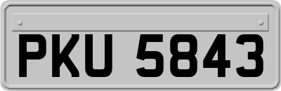 PKU5843
