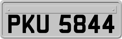 PKU5844