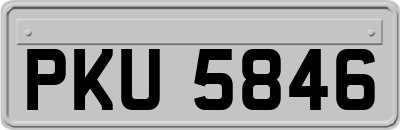 PKU5846