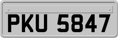 PKU5847