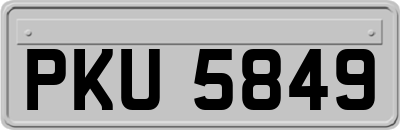 PKU5849