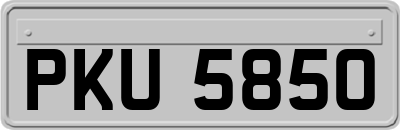PKU5850