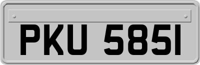 PKU5851