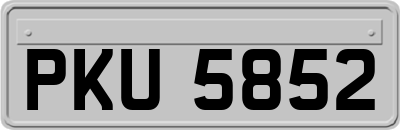 PKU5852