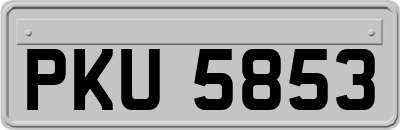 PKU5853