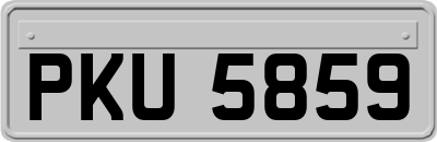 PKU5859