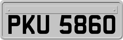 PKU5860