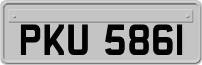 PKU5861