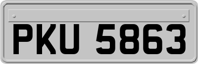 PKU5863