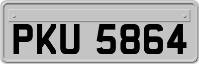 PKU5864