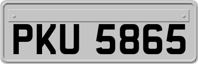 PKU5865