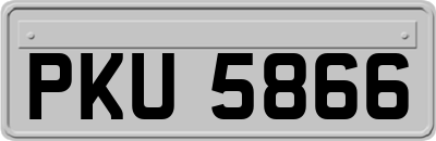PKU5866