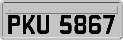 PKU5867