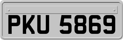 PKU5869