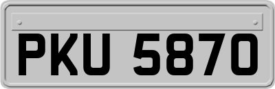 PKU5870