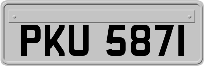 PKU5871