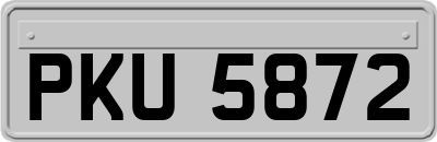 PKU5872