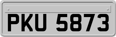 PKU5873